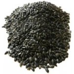 Biostan Biokron Slunečnice černá 5 kg – Zboží Dáma