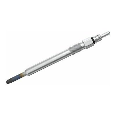 BOSCH Žhavicí svíčka 0250202038 – Hledejceny.cz