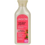 Jason šampon Jojoba 473 ml – Zboží Mobilmania