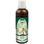 Naděje Podhorná Bez černý tinktura z pupenů 50 ml – Hledejceny.cz