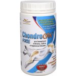 Orling - Chondrocan Forte 500 g – Hledejceny.cz