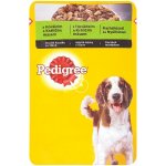 Pedigree hovězí a jehněčí 100 g – Hledejceny.cz