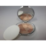 Virtual Cosmetics Face Powder Pudr 209 20 g – Zboží Dáma