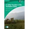 CAMB DISC 3 LITTLE TROUBLE IN THE YORKSHIRE DALES +CD