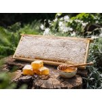 Včelařství Thomayer Panenská medová plástev 1791g – Hledejceny.cz