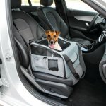 LAMPA přepravní box 40 x 38 x 28 cm – Sleviste.cz