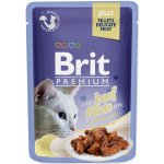 Brit Premium Cat Delicate Fillets in Jelly Beef 85 g – Zbozi.Blesk.cz