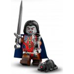 LEGO® Minifigurka 71047 Dungeons & Dragons® – Zboží Dáma