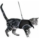 Trixie Postroj vesta s vodítkem pro králíka 25 až 32cm/1,20m – Zboží Dáma