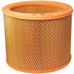 FILTRON AR 200 Vzduchový filtr (AR200) – Hledejceny.cz