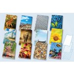 Papírny Brno kniha záznamní šitá A4 linka 192 listů – Sleviste.cz