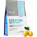 Ostrovit Creatine monohydrate 1000 g – Zboží Dáma