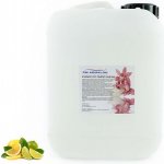 PM Aqualog esence do parních kabin citron-limetka 957-005/D 5 l – Hledejceny.cz