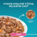 Purina One Junior s lososem a mrkví ve šťávě 26 x 85 g – Sleviste.cz