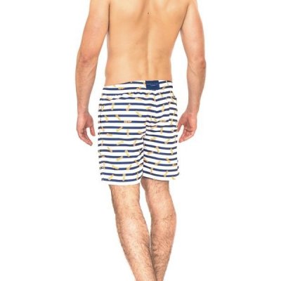 James Cromwell koupací šortky blue striped pineapple – Zboží Mobilmania