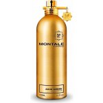 Montale Aoud Ambre parfémovaná voda unisex 100 ml – Hledejceny.cz