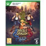 Double Dragon Gaiden: Rise of the Dragons (XSX) – Zboží Dáma