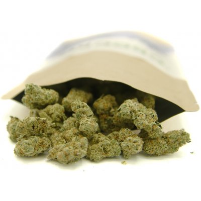 CBDčko CBD Konopný květ Amnesia Haze malé paličky THC do 0,6% 50 g – Zboží Mobilmania