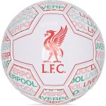 Nike LIVERPOOL FC Strike – Sleviste.cz