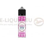 Dinner Lady Ice Watermelon Chill Ice Shake & Vape 10 ml – Zboží Dáma
