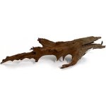 Macenauer Mangroven-Wurzel XL 80-90 cm – Zboží Dáma