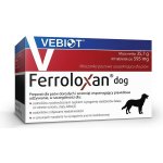 Vebiot Ferroloxan dog 60 tabletek – Hledejceny.cz