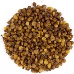 NUTSMAN Čočka smažená křupavá BIO MOŘSKÁ SŮL 500 g – Zbozi.Blesk.cz