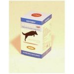 Arthronis fáze 1 Mini 60 tbl – Hledejceny.cz