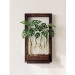 BotaneryLab Nástěnný kořenovací stojan WALL STATION – velký rám WoodenBotanery – Hledejceny.cz