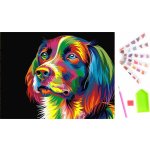 KIK Diamantové malování Pes 40 x 30 cm – Sleviste.cz