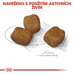Royal Canin Mini Dental 1 kg – Sleviste.cz