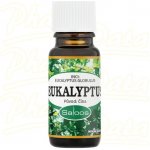 Saloos esenciální olej Eukalypt 10 ml – Zboží Dáma