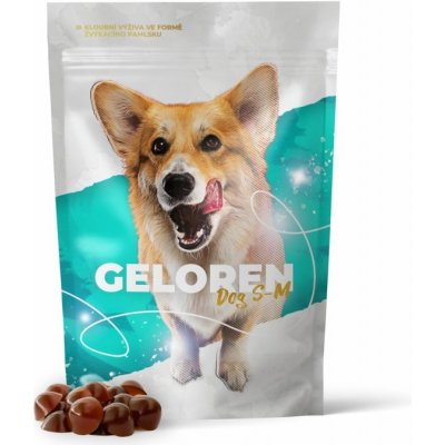 Geloren DOG S-M kloubní výživa pro malé a střední psy