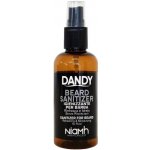 Dandy Sanitizer bezoplachová ochrana vousů, bradky a kníru 100 ml – Zboží Dáma Dandy Sanitizer bezoplachová ochrana vousů, bradky a kníru 100 ml – Zboží Dáma