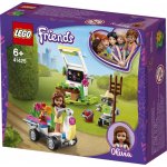 LEGO® Friends 41425 Olivie a její květinová zahrada – Hledejceny.cz
