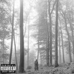 Swift Taylor - Folklore 2LP - Vinyl – Zboží Dáma