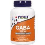 Now Foods Gaba Kyselina Gama Aminomáselná 500 mg 100 veg kapslí – Hledejceny.cz
