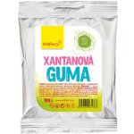 Wolfberry Xantanová guma 100 g – Zboží Mobilmania