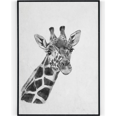 Plakát / Obraz Žirafa A4 - 21 x 29,7 cm Tiskové plátno – Zbozi.Blesk.cz