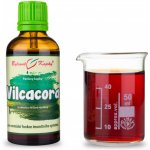 Bylinné kapky Vilcacora Kočičí dráp kapky tinktura 50 ml – Hledejceny.cz