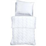 SCANquilt přikrývka Comfort Cotton antibakteriální celoroční hřejivost Sq 4 140x200 – Hledejceny.cz