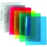 Karton P+P 2 kroužkový pořadač A4 2 cm průhledný modrý – Sleviste.cz