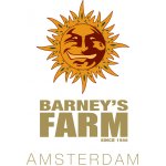 Barney's Farm Watermelon Zkittlez Auto semena neobsahují THC 1 ks – Zboží Dáma
