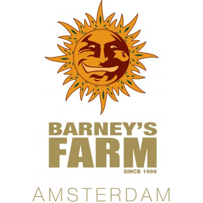 Barney's Farm Runtz semena neobsahují THC 1 ks