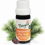 Bergila éterický olej Borovice kleč BIO 100 ml – Hledejceny.cz