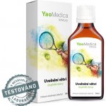 YaoMedica Uvolnění větví tinktura z čínských bylinek 50 ml – Hledejceny.cz
