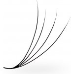 Luxury Lashes 4D Řasy Premium sypané v hotovém vějířku 1 000 ks Zakřivení umělých řas: CC, Délka umělých řas: 9 mm, Tloušťka řas: 007 – Zboží Dáma