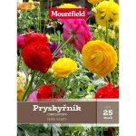 Pryskyřník mix 25 ks – Hledejceny.cz
