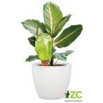 Bördy 220ml 087 M zelený – Hledejceny.cz