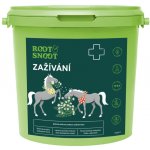 Leros Zažívání Horse 1 kg – Hledejceny.cz